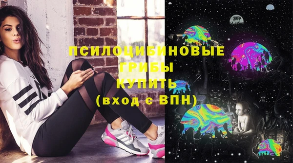 ПСИЛОЦИБИНОВЫЕ ГРИБЫ Алексеевка