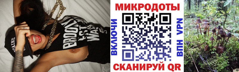 Галлюциногенные грибы мицелий  Саки 